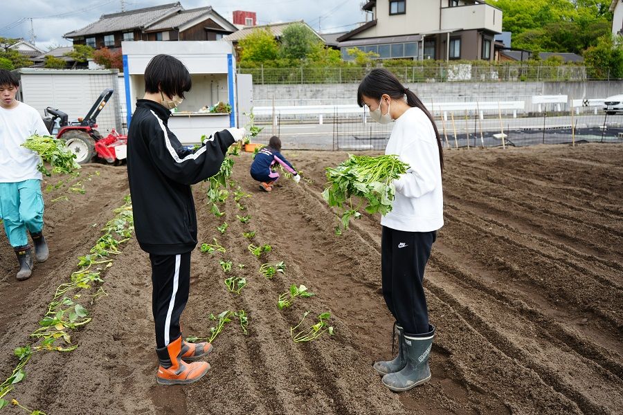 Part60「さつまいもの苗植えを行いました」の写真