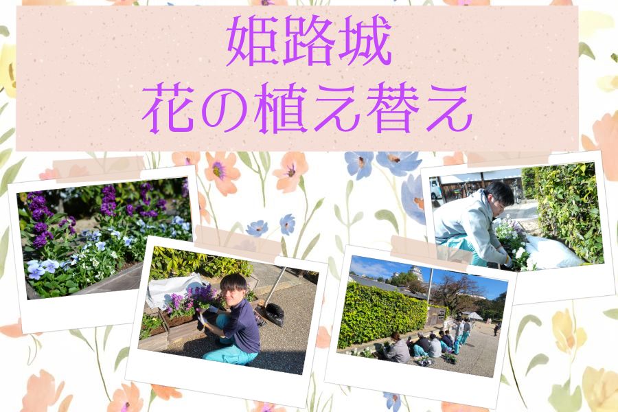 Part85「姫路城 花の植え替え」の写真